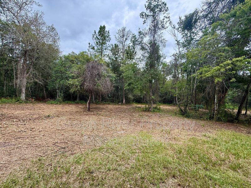 Charming Black Creek Park Home on 2 Acres property image